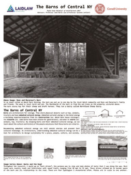 2021 Poster for Laidlaw Symposium