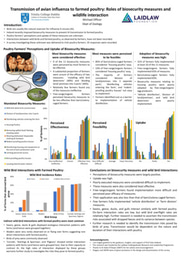 Research Poster - Summer 2021