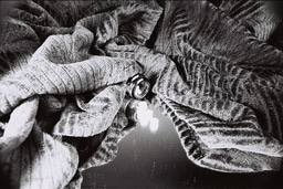 Challenges and Learnings to Ethical Leadership