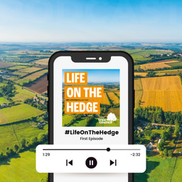 Life On The Hedge Podcast - The Tree Council