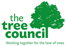 New job opportunity! Finance & Administration Officer at The Tree Council