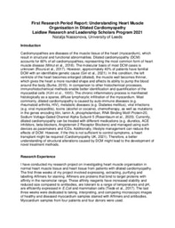 First Research Period Reflection: Understanding Heart Muscle Organisation in Dilated Cardiomyopathy