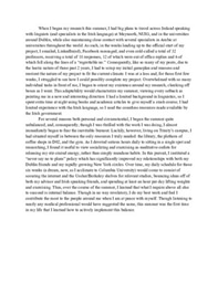 Supplement to Reflective Report