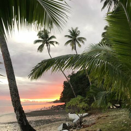 I DNF'd my LiA (and that's okay). 