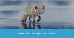 Burnout  - the signs and how to avoid it