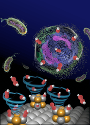 A clean approach to water disinfection using catalytic in situ generation of reactive oxygen species. 