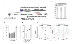 Fixing PCR errors in sequencing experiments