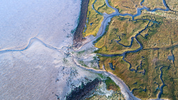 Top 100 in Earth, Environment and Ecology from 2023 | Scientific Reports