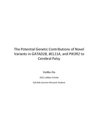 Summer 1 Report: The Potential Genetic Contributions of Novel Gene Variants to Cerebral Palsy