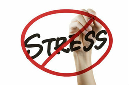 How should you treat this stressed colleague?