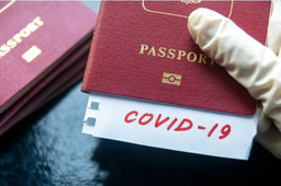 What pharmacists should advise returning travellers