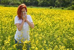 Preventing hayfever: causes, symptoms and treatment