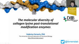 FEBS Junior Section – Federico Forneris: Collagen lysine post-translational modification enzymes