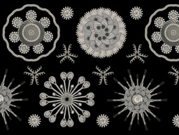 Engineering with evolution: sculpting the adaptive landscape