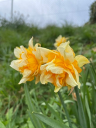 You can only be what you can see