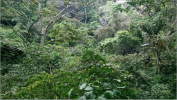 Humans are encroaching into wildlife gut microbiomes with potentially dire consequences