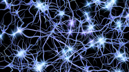 Top 100 in Neuroscience | Scientific Reports