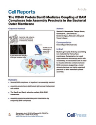 Deciphering 'superbugs' at Super resolution 