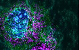 Physical resolution might be meaningless if in the mathematical space