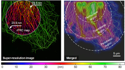 A nice piece of the puzzle for super-resolution microscopy