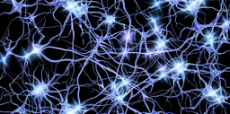 Top 100 in Neuroscience | Scientific Reports
