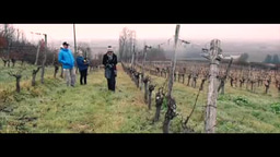 3 Climate Reality Leaders chat