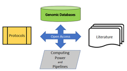 Protocols in practice