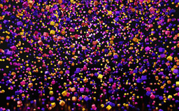 FEBS Junior Section present Vanda Juranić Lisnić