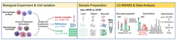 Accessible single-cell proteomics