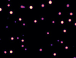 Mass photometry-a tool for detecting and quantifying nanoscale protein phase separation