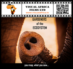 #Films4AfricanWildlife 