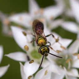 Conservation Nation Fall Grant Programs are here!