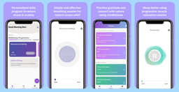 LiA Project Reflection - RCube Health