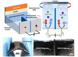 Wireless Control of Redox Gradients in Conductive Hydrogels: A New Frontier in Drug Delivery & Energy Harvesting