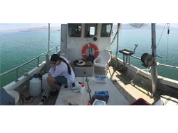 Deep purple functional metagenomics