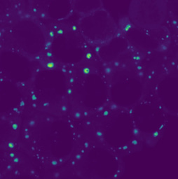 Journal Article Published