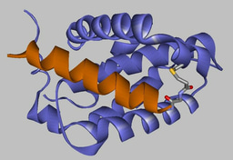 Guest Edited Collection on Covalent chemical probes