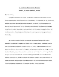 LiA Experience – Project Report – Summer 2