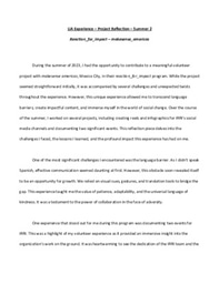 LiA Experience – Project Reflection – Summer 2