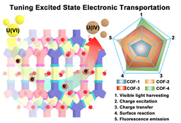Tuning excited state electronic structure and charge transport in covalent organic frameworks for enhanced photocatalytic performance