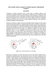 'Self-assembly and ion transport by stimuli-responsive ruthenium(II) complexes' - Laidlaw essay - Anatolii Zagorodnii