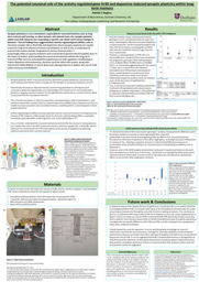 Laidlaw summer 1 poster (Hr38 & memory) 