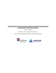 Laidlaw summer 1 report (Hr38 & memory) 