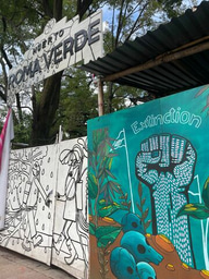 Weeks 3/4 LiA with makesense in CDMX