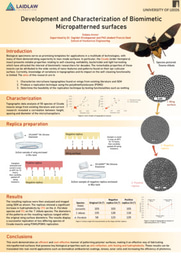Development and Characterization of Biomimetic Micropatterned surfaces