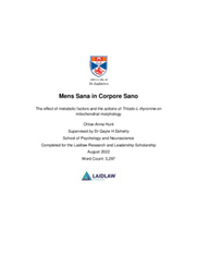 Research Essay: Mens Sana in Corpore Sano