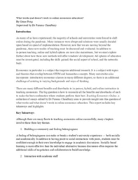 What works and doesn't work in online economics education? Reflection Essay