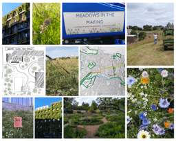 Post-Research Reflections: I think I want to study Architecture