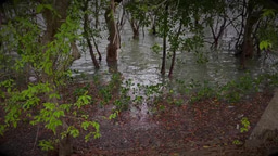 LiA Video - Hybrid Solutions for Climate Change Adaptation in the Sundarbans