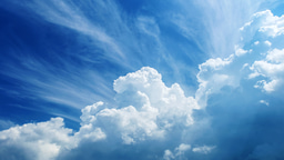 Digital Signage SaaS for Integrators